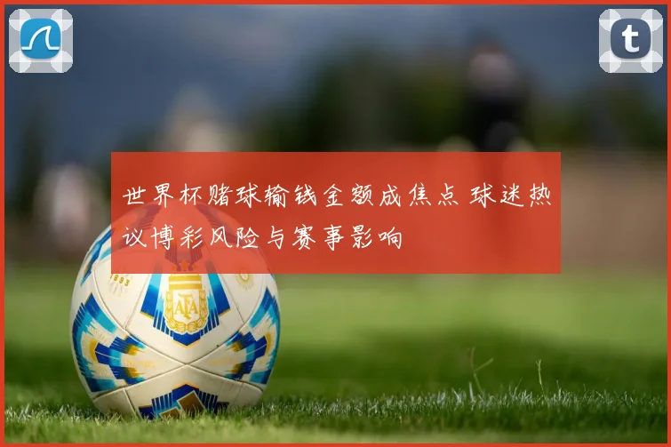 世界杯赌球输钱金额成焦点 球迷热议博彩风险与赛事影响