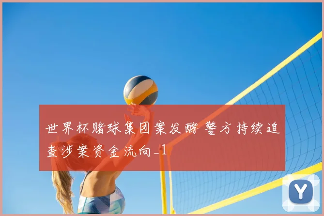 世界杯赌球集团案发酵 警方持续追查涉案资金流向_1