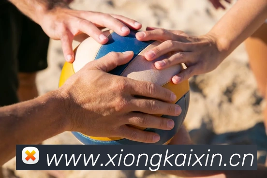互动解说服务
