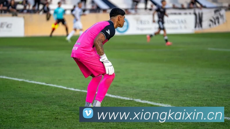 kaiyun「中国大陆」云开·门户网站 - 官方网站|登录入口APP 封面图